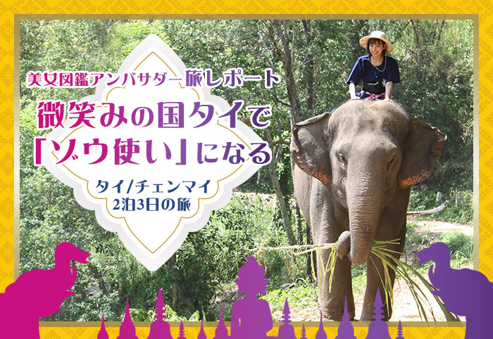微笑みの国“タイ”で象使いになる! @チェンマイ